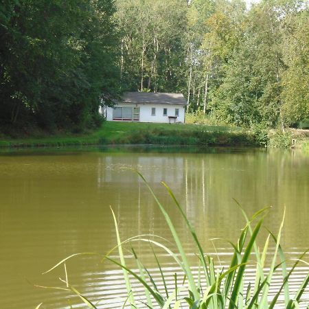 Deux Etangs Poissonneux Au Milieu Des Bois Avec Gite Moderne, La Halte Des Deux Lacs Rosée Buitenkant foto