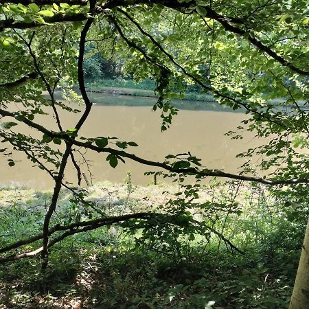 Deux Etangs Poissonneux Au Milieu Des Bois Avec Gite Moderne, La Halte Des Deux Lacs Rosée Buitenkant foto