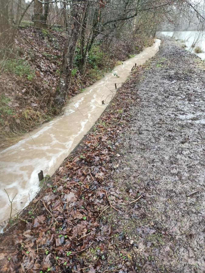 Deux Etangs Poissonneux Au Milieu Des Bois Avec Gite Moderne, La Halte Des Deux Lacs Rosée Buitenkant foto