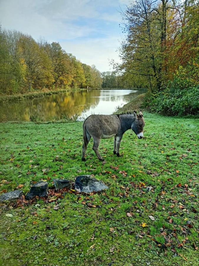 Deux Etangs Poissonneux Au Milieu Des Bois Avec Gite Moderne, La Halte Des Deux Lacs Rosée Buitenkant foto