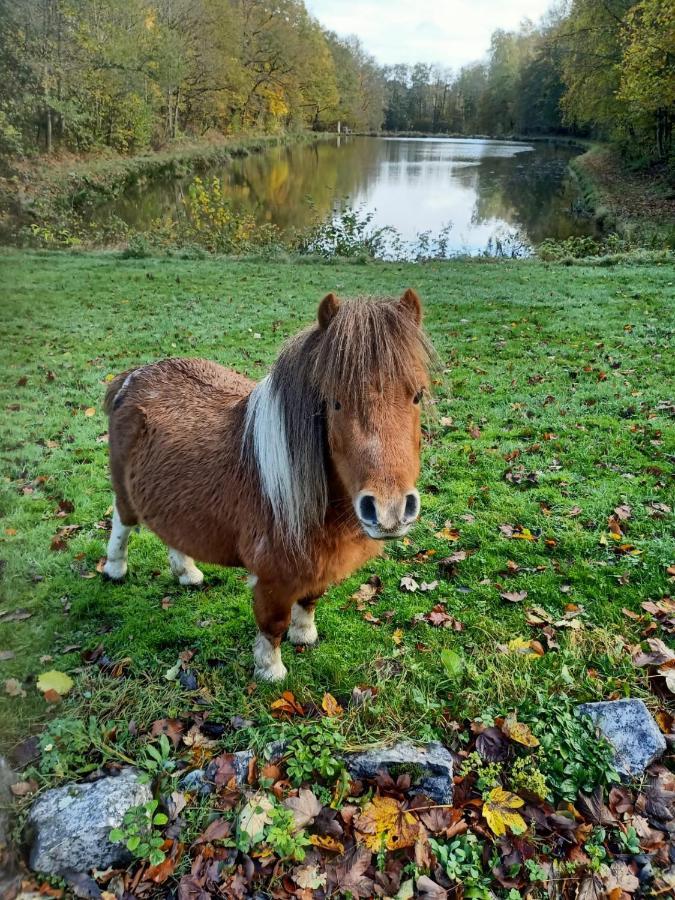 Deux Etangs Poissonneux Au Milieu Des Bois Avec Gite Moderne, La Halte Des Deux Lacs Rosée Buitenkant foto