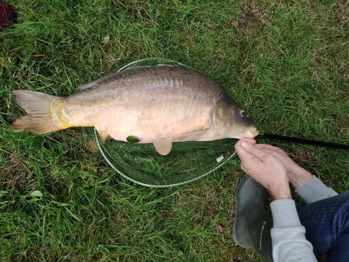 Deux Etangs Poissonneux Au Milieu Des Bois Avec Gite Moderne, La Halte Des Deux Lacs Rosée Buitenkant foto