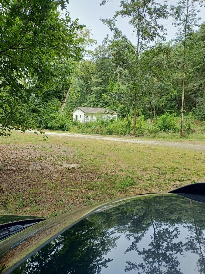 Deux Etangs Poissonneux Au Milieu Des Bois Avec Gite Moderne, La Halte Des Deux Lacs Rosée Buitenkant foto