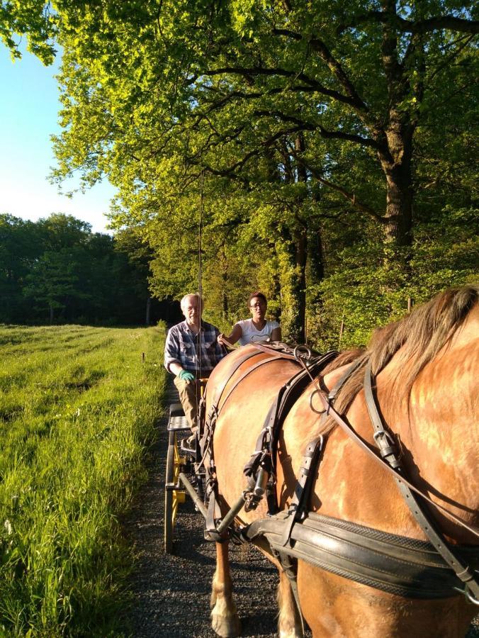 Deux Etangs Poissonneux Au Milieu Des Bois Avec Gite Moderne, La Halte Des Deux Lacs Rosée Buitenkant foto