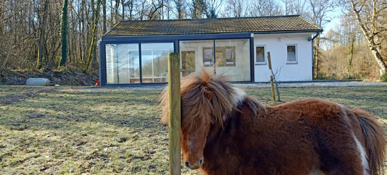 Deux Etangs Poissonneux Au Milieu Des Bois Avec Gite Moderne, La Halte Des Deux Lacs Rosée Buitenkant foto