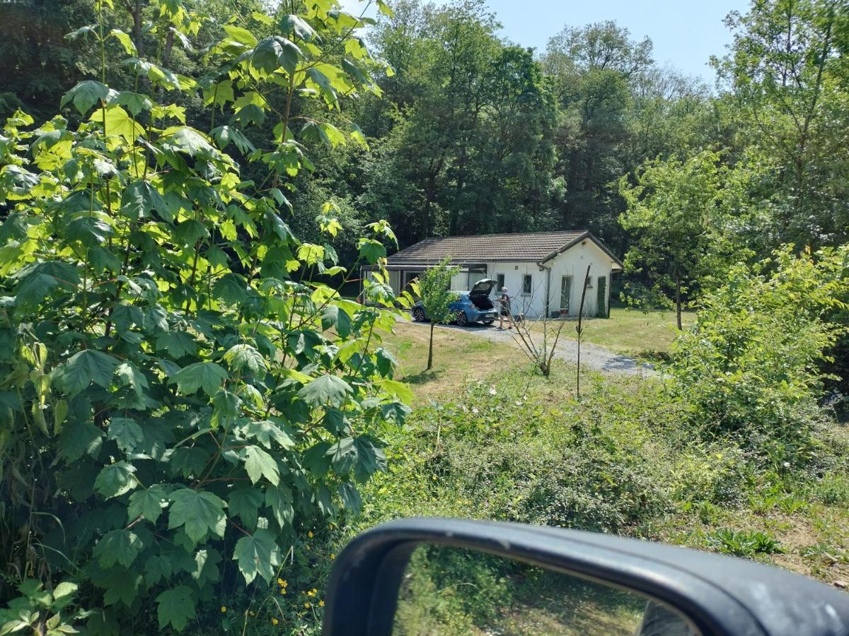 Deux Etangs Poissonneux Au Milieu Des Bois Avec Gite Moderne, La Halte Des Deux Lacs Rosée Buitenkant foto