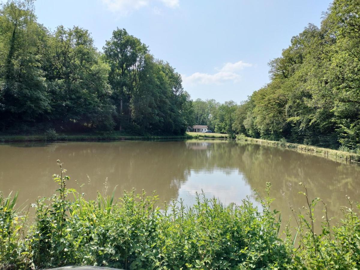Deux Etangs Poissonneux Au Milieu Des Bois Avec Gite Moderne, La Halte Des Deux Lacs Rosée Buitenkant foto