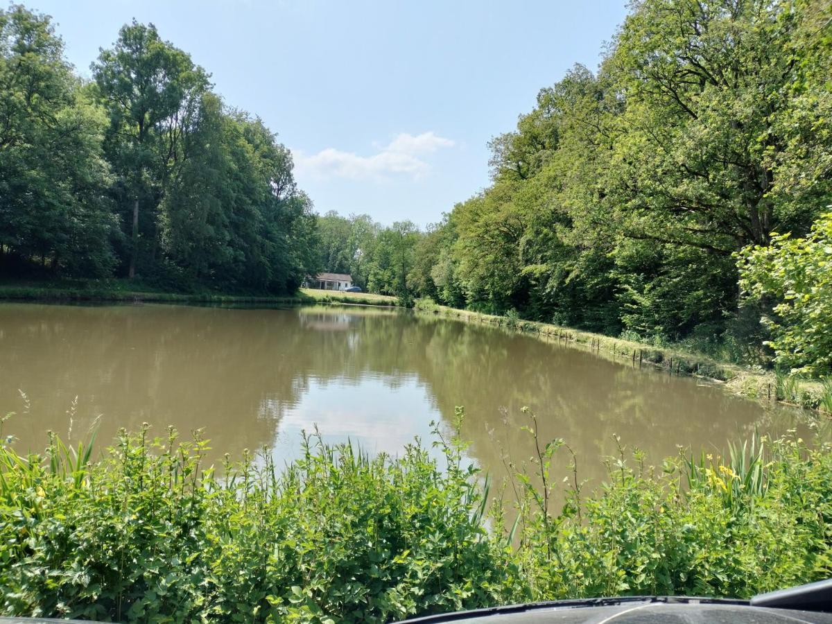 Deux Etangs Poissonneux Au Milieu Des Bois Avec Gite Moderne, La Halte Des Deux Lacs Rosée Buitenkant foto