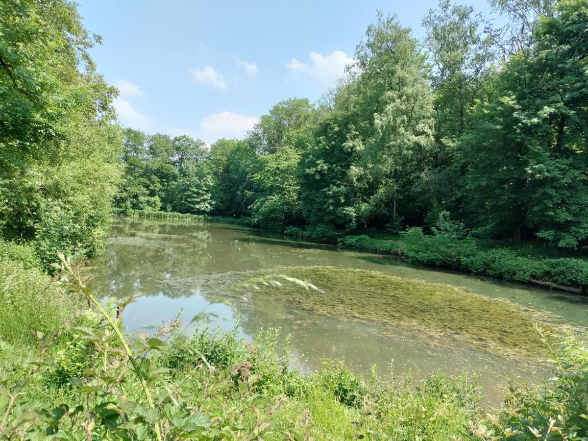 Deux Etangs Poissonneux Au Milieu Des Bois Avec Gite Moderne, La Halte Des Deux Lacs Rosée Buitenkant foto