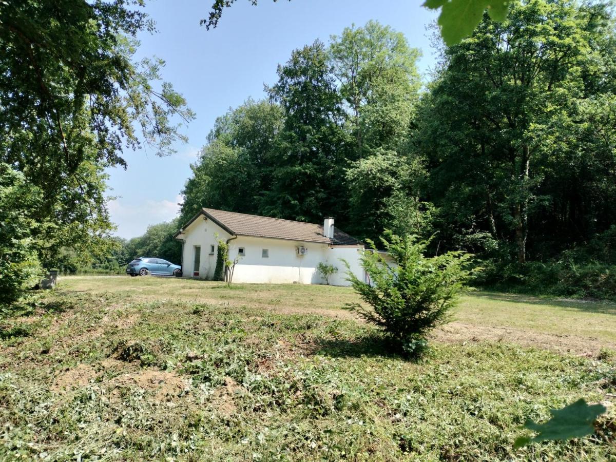 Deux Etangs Poissonneux Au Milieu Des Bois Avec Gite Moderne, La Halte Des Deux Lacs Rosée Buitenkant foto